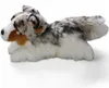 Carl Dick Australischer Schäferhund liegend ca. 30cm 3477 Produktbild-Vorschau 5