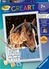 Fohlen mit Kätzchen Ravensburger 28556 Produktbild-Vorschau 11
