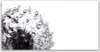 Tulup Leinwand-Bilder 140x70 Wandbild Canvas Kunstdruck Produktbild-Vorschau 1