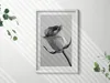Graue kleine Rosenblüte– Wandbild mit Rahmen – Gerahmtes Produktbild-Vorschau 2