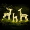 Three illuminated reindeer figures are placed on a grassy lawn at night, with dark foliage in the background. Produktbild-Vorschau