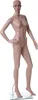 Schaufensterpuppe HWC-E37, weiblich Frau Schaufensterfigur Produktbild-Vorschau 1