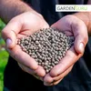 Düngelupinen Gründünger Lupinen Blaue 25kg Produktbild-Vorschau 2