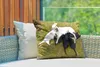 MuchoWow® Outdoor Kissen - Hund mit vielen Welpen - 60x40 Produktbild-Vorschau 3