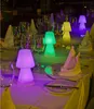 NewGarden LOLA 20 LED Tischleuchte 20cm Weiss + RGB, Akku Produktbild-Vorschau 16