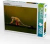 Calvendo Totenkopfäffchen 1000 Teile Puzzle quer 640x480mm, Produktbild-Vorschau 1