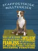 vianmo Holzschild 40x30 cm Staffordshire Bullterrier Hund Produktbild-Vorschau 1