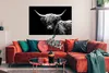 MuchoWow® Poster Schottischer Highlander - Kuh - Schwarz - Produktbild-Vorschau 2