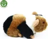 Plyšové morča, 17 cm, ekologické Náhľad obrázku produktu 13