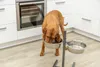 TRIXIE Hundebar, Metall/Edelstahl - diverse - 2 × 2,8 l/ø Produktbild-Vorschau 3
