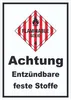 Schild Entzündbare feste Stoffe Flammable Solid hochkant A3 Produktbild-Vorschau 1