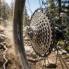 SHIMANO Pignon à chaîne - SPROCKETC 10-12 - argent Voir les images du produit 7