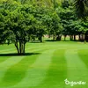 Kalkdünger mit Magnesium (5 kg - Für 100 m2)- Organifer Produktbild-Vorschau 7