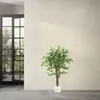 ML-Design Kunstpflanze Ficus 120cm Künstliche Pflanzen groß Produktbild-Vorschau 7