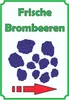 Frische Brombeeren Schild Hochkant mit Pfeil rechts A6 Produktbild-Vorschau 1