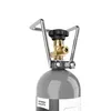 Intergases CO2-Zylinder 2kg mit Füllung – E290 Produktbild-Vorschau 3