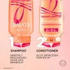 L'Oréal Elvive Dream Lengths Shampoo 250 ml - Vorteilspack Produktbild-Vorschau 5