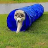 lionto Hundespieltunnel, stabiler Agilitytunnel für Hunde, Produktbild-Vorschau 2