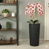 Künstliche Orchidee Cremerosa Kaskaden Blumenstrauß im Topf Produktbild-Vorschau 5