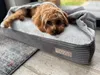 DOTTY Kuschelhöhle Kuscheliges Hundebett Hundenest Produktbild-Vorschau 5