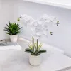 Atmosphera Kunstliche Pflanze Orchidee - weise Bluten - im Produktbild-Vorschau 4