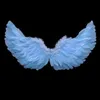 A pair of light blue feather wings against a black background. Produktbild-Vorschau