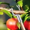 6pcs Metallbaumzweige Stütze stützt sich fruchtbarer Produktbild-Vorschau 3