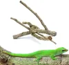 BioBranch Ramo di quercia da sughero di 60 cm, diritto o Anteprima dell’immagine prodotto 3