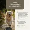 Provicell ImmunVital Pulver Hund 60 g | Immunabwehr I Mit Produktbild-Vorschau 2