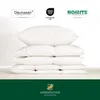 Hanskruchen couette PREMIUM DE LUXE extra légère 155 x 220 Voir les images du produit 9