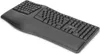 Digitus Ergonomische Tastatur, kabellos, 2,4 GHz Anteprima dell’immagine prodotto 1