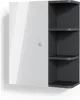 A product shot of a wall-mounted cabinet with a white high-gloss door and anthracite shelves. Produktbild-Vorschau