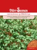 Artikelbild 1 von 'Gartenkresse großblättrig' aus der Kategorie Kressesamen Produktbild-Vorschau