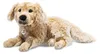 Steiff Golden Retriever Andor liegend 45 cm 076947 Produktbild-Vorschau 1