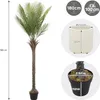ML-Design Umělá palma 180 cm, tropická umělá palma, umělá Náhled obrázku produktu 7