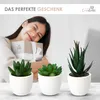 Künstliche Pflanzen Mini 3er Set Dekoration Kunstpflanzen Produktbild-Vorschau 5