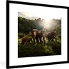 MuchoWow® Gerahmtes Poster Wald - Elefanten - Licht 40x40 Produktbild-Vorschau 1