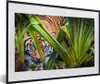 MuchoWow® MuchoWow® Gerahmtes Poster Versteckter Produktbild-Vorschau 1