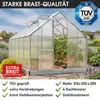 BRAST Gewächshaus Aluminium mit Fundament | 310x250x205cm | Produktbild-Vorschau 8