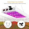 A grow light suspended over a greenhouse filled with red flowers. Náhľad obrázku produktu