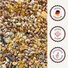 Supravit Geflügelkörnerfutter 5kg| Ohne Gentechnik | Produktbild-Vorschau 7