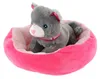 Pet in the bed peluche 4 colori 22x24cm 24m+ Anteprima dell’immagine prodotto 12