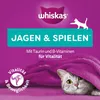 Whiskas Pounce & Play Katzensnacks im Portionsbeutel für Produktbild-Vorschau 7