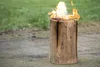 A burning log fire in an outdoor setting. Produktbild-Vorschau