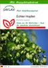 SAFLAX - Echter Hopfen - Humulus lupulus - 50 Samen - Mit Produktbild-Vorschau 1
