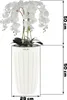 Künstliche Orchidee Weiß Kaskaden Blumenstrauß im Topf mit Produktbild-Vorschau 2