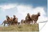 MuchoWow® Poster Haflinger Pferde 120x80 cm - Bilder Produktbild-Vorschau 1