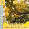 Perle di Sole Bonbons durs au goût de citron et d'orange Voir les images du produit 6