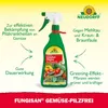 Neudorff Fungisan Gemüse-Pilzfrei 1 Liter Bekämpfung von Produktbild-Vorschau 3