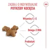 Royal Canin Kitten, Kocięta, Drób, 4 kg Podgląd zdjęcia produktu 15
